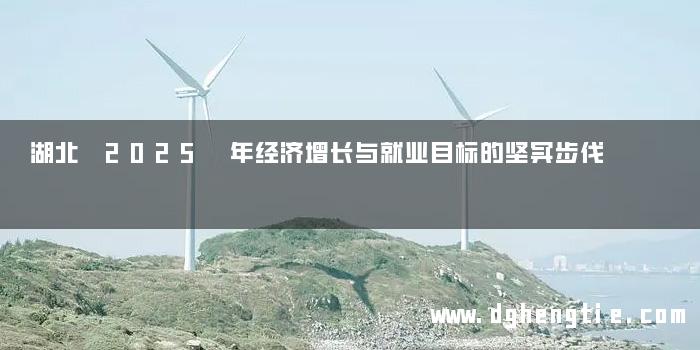 湖北 2025 年经济增长与就业目标的坚实步伐